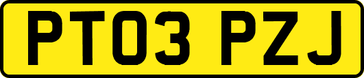 PT03PZJ