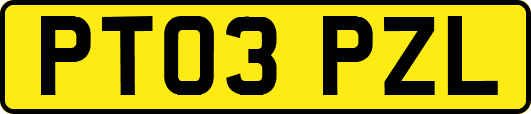 PT03PZL