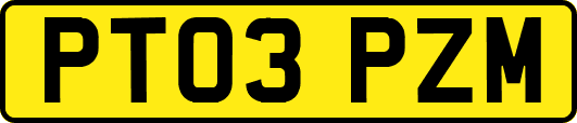 PT03PZM