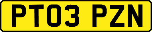 PT03PZN