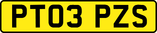 PT03PZS