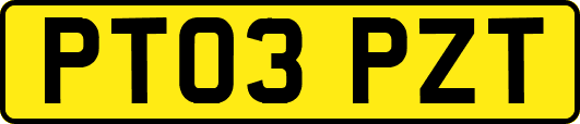 PT03PZT