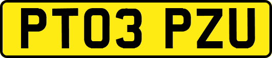 PT03PZU