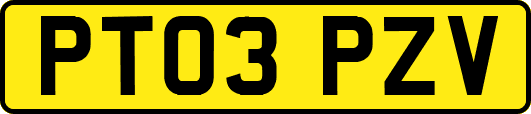 PT03PZV