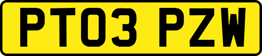 PT03PZW