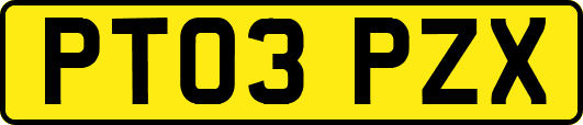 PT03PZX