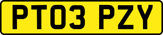 PT03PZY