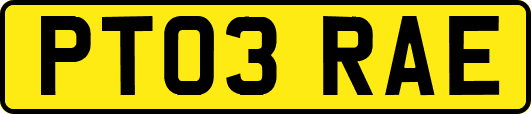 PT03RAE