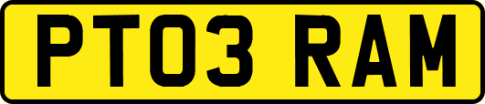 PT03RAM