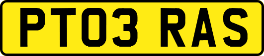 PT03RAS