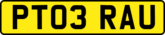 PT03RAU