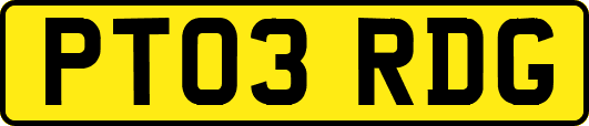 PT03RDG