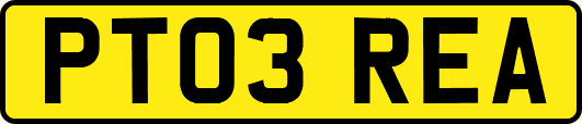 PT03REA