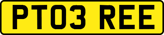 PT03REE