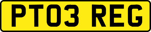 PT03REG