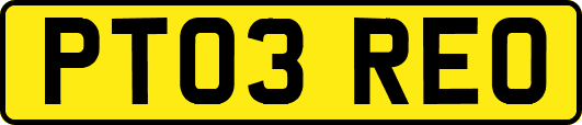 PT03REO