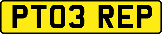 PT03REP