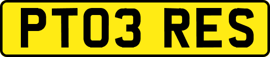 PT03RES