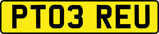 PT03REU