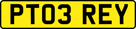 PT03REY