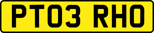 PT03RHO