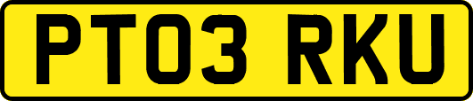 PT03RKU