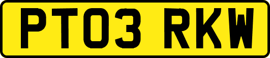 PT03RKW