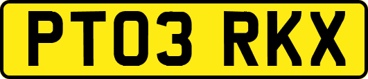 PT03RKX