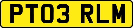 PT03RLM