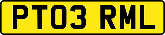 PT03RML