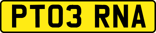 PT03RNA