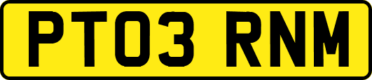 PT03RNM