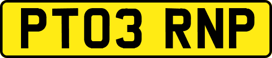 PT03RNP
