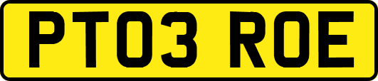PT03ROE