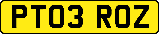 PT03ROZ