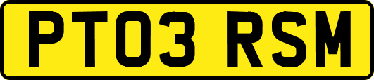 PT03RSM