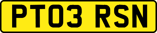 PT03RSN