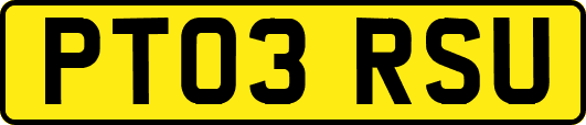 PT03RSU