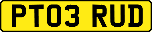 PT03RUD