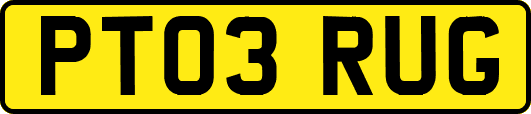 PT03RUG