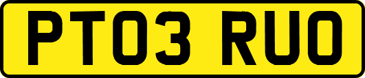PT03RUO