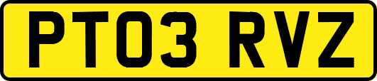 PT03RVZ