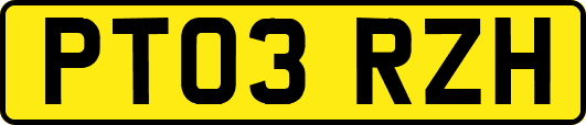 PT03RZH