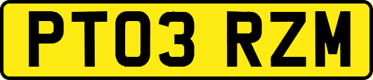 PT03RZM