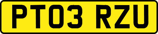 PT03RZU