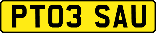 PT03SAU