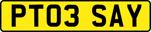 PT03SAY