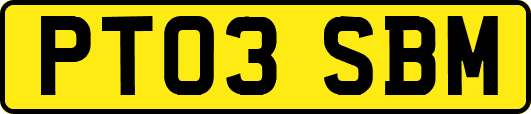 PT03SBM