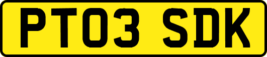 PT03SDK