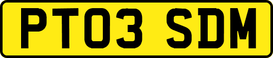 PT03SDM